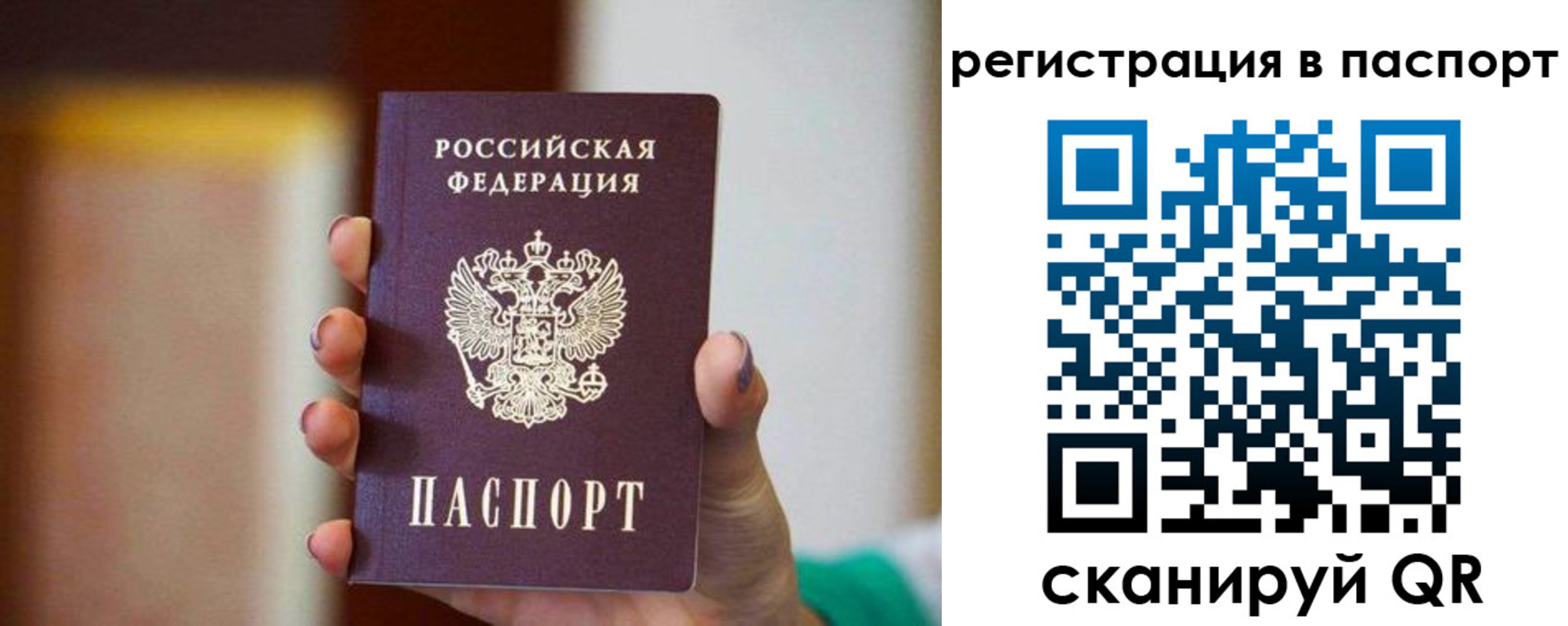 временная регистрация гарантия в Куртамыше